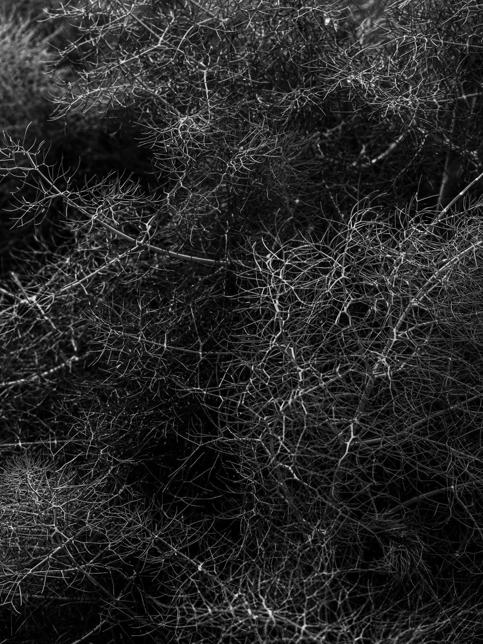 Understanding Artificial Neural Networks: Advantages and Disadvantages