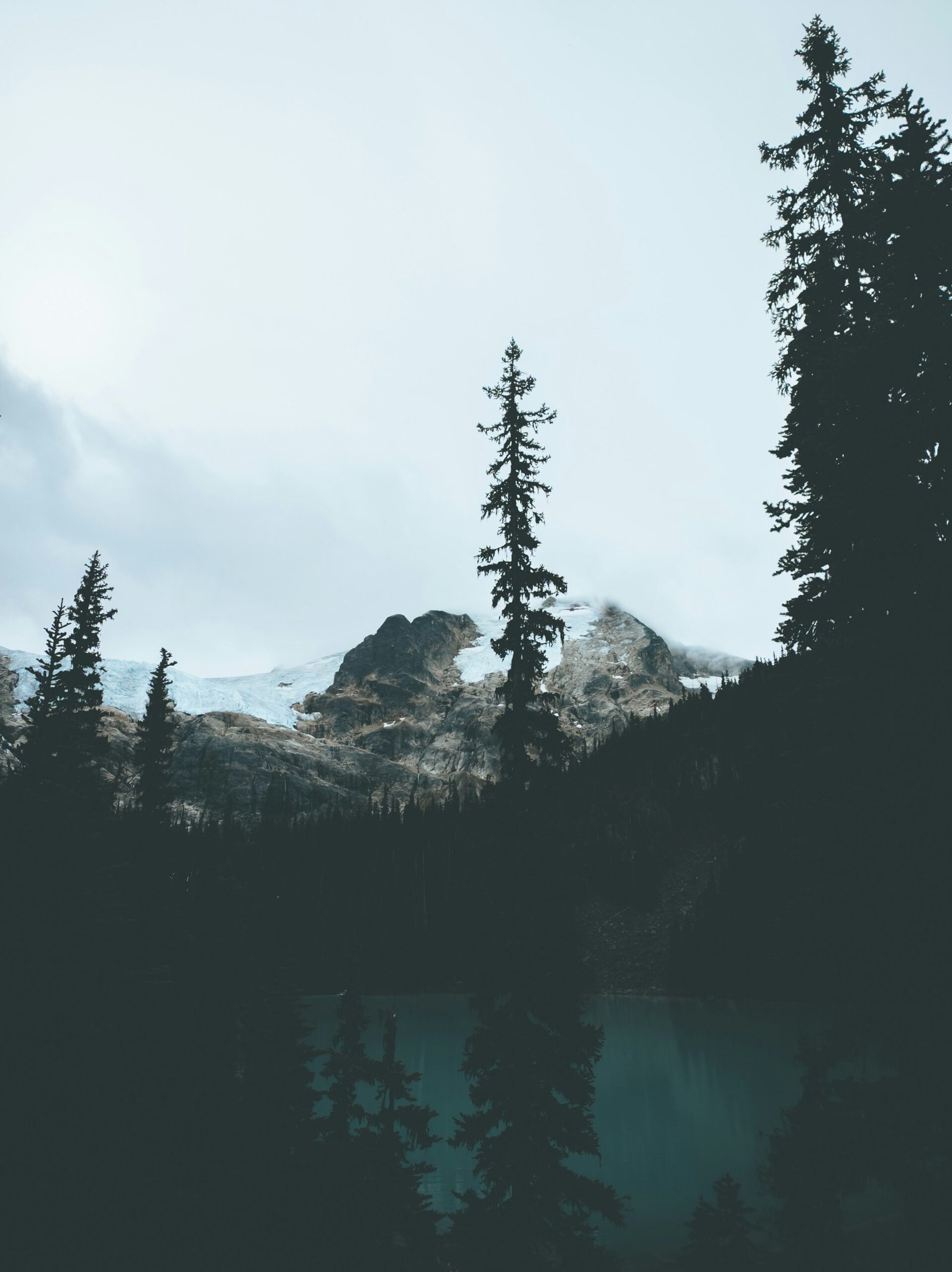 Understanding Tree-Based Algorithms: A Comprehensive Guide