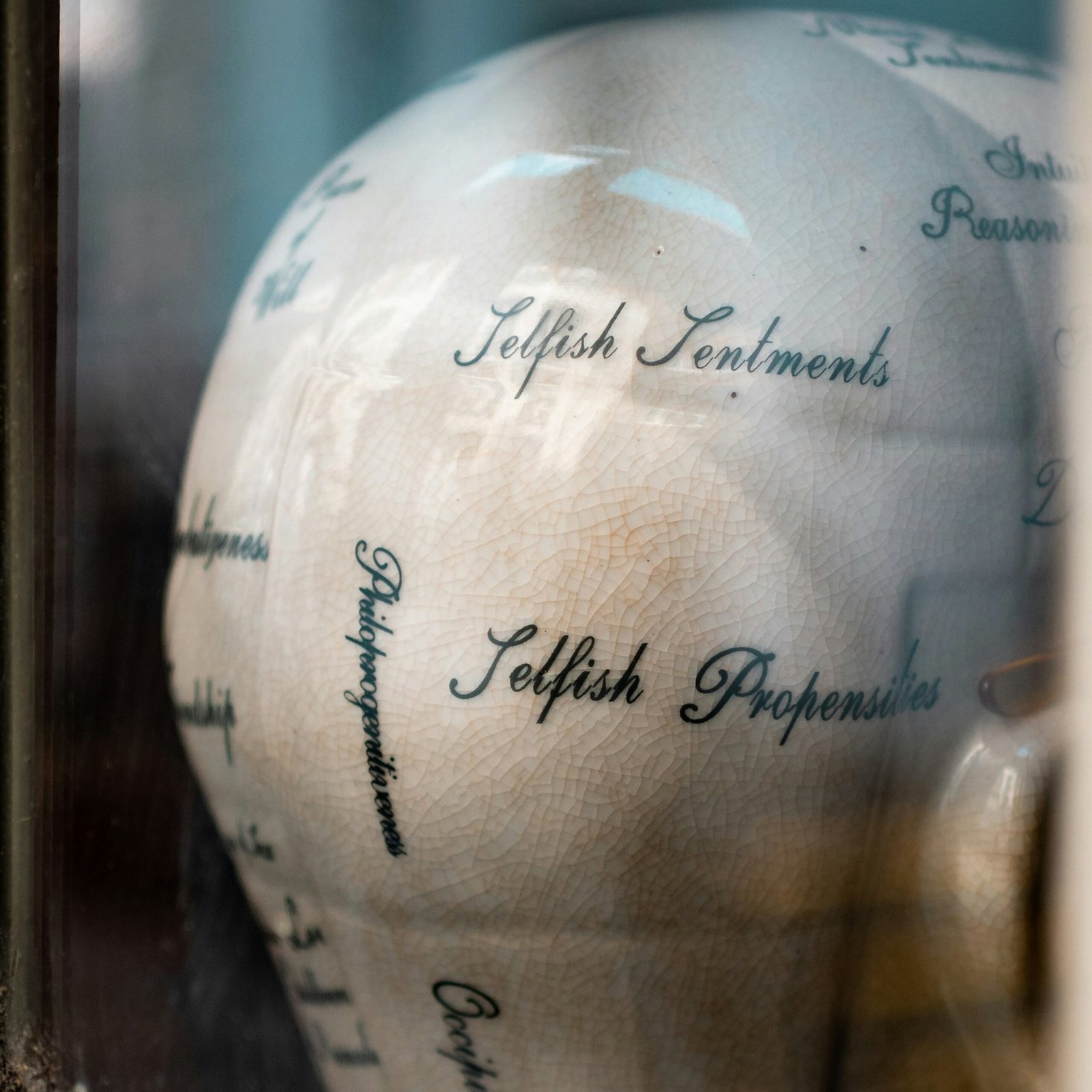 Harnessing Data Science for Effective Negative Sentiment Monitoring: A Guide to Sentiment Analysis